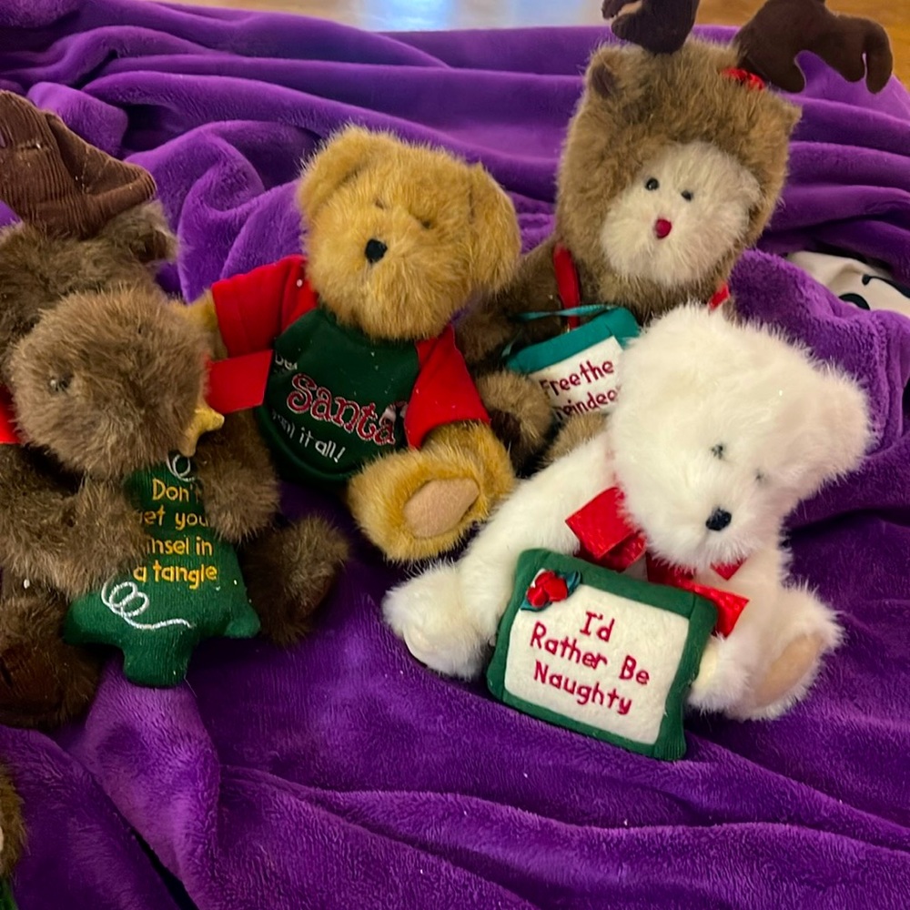 Boyd’s Bears